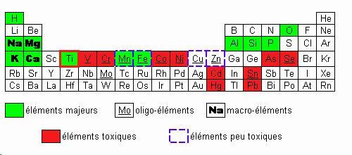 symptome tdah / autisme