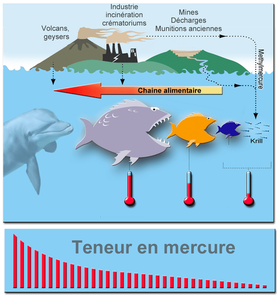 symptome tdah / autisme